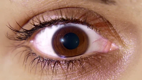 Brown eye with pupil constricting Stock Footage 75605016