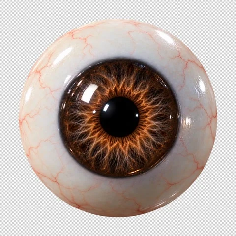 Brown-eyeball-loop-transparent 動画素材 346864119