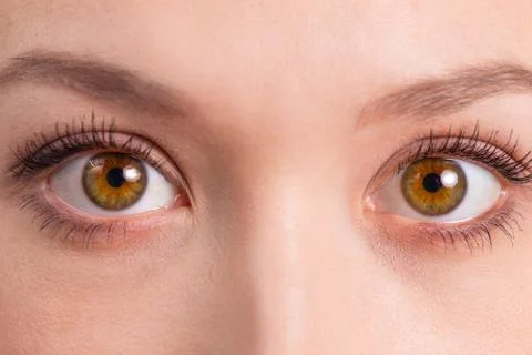 Brown eyes close-up Foto stock