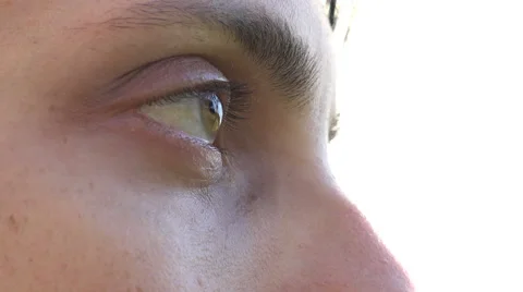Brown Eyes Closeup Side View  Stock-Footage 64950423