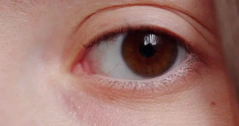 Brown eyes Stock Footage 131204093