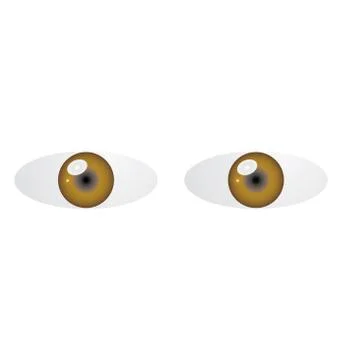 Brown eyes Stock Illustration