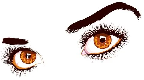 Brown eyes with long eyelashes Stock Illustration