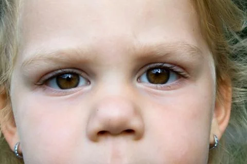 Brown eyes Stock Photos
