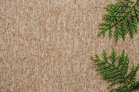 Brown fabric background Фото