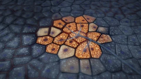 Brown Fat Cells Igniting From Cold Thermogenesis Medical Animation 库存影片 348004515