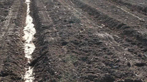 Brown field Stock-Footage 22519382