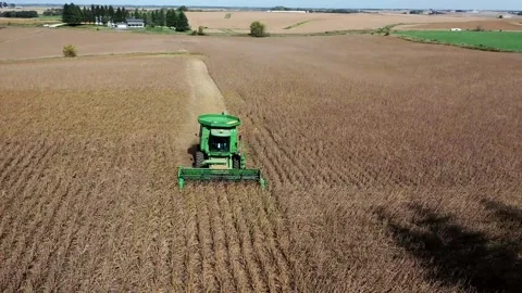 Brown Field Under Blue Sky in country Stock Footage 269853764