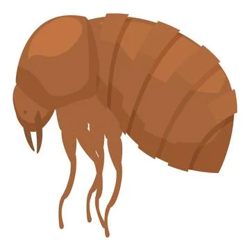Brown flea insect is crawling with its big legs 스톡 일러스트