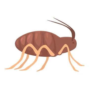 Brown flea insect crawling with long legs and antennae Stock-Illustration