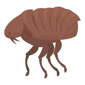 Brown flea insect walking side view Stock Illustration