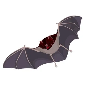 Brown flittermouse with opened wings flat design isolated on white. Stock Illustration