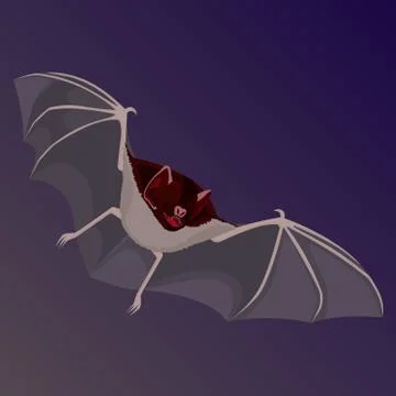 Brown flittermouse with opened wings flat design isolated Stock Illustration