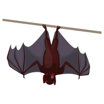 Brown flittermouse with opened wings flat design isolated on white. 스톡 일러스트