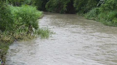 Brown flood water Video stock 24697246