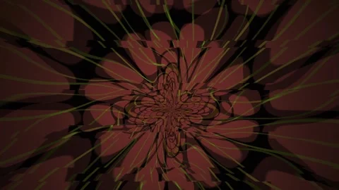 Brown Flower Petals Abstract Background. Stock Footage 339999674
