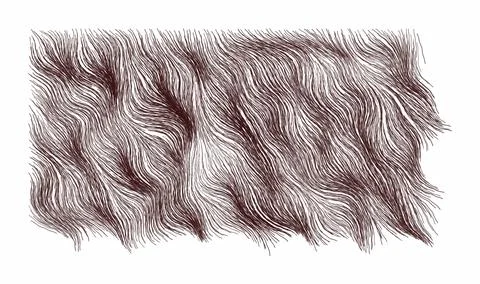 Brown flowing hair texture pattern. Detailed ink line drawing of animal fur.. Stock Illustration