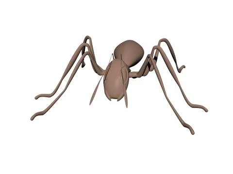 Brown forest ant with compound eyes and pine Stock Illustration