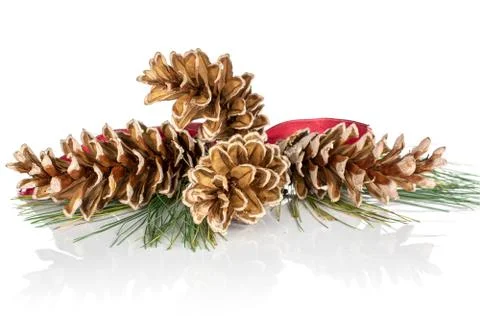 Brown forest pine cone isolated on white Foto stock