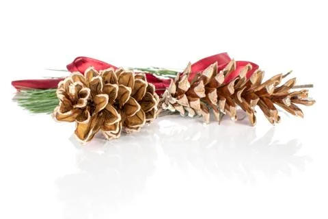 Brown forest pine cone isolated on white Stock Photos