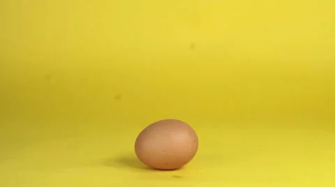 Brown Fresh Egg broken on Yellow Backdrop Vídeos de archivo 57833382
