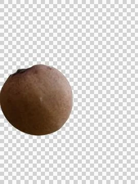 Brown Fruit Isolated on Gray, Single Sapota with Rough Skin Stock Photos
