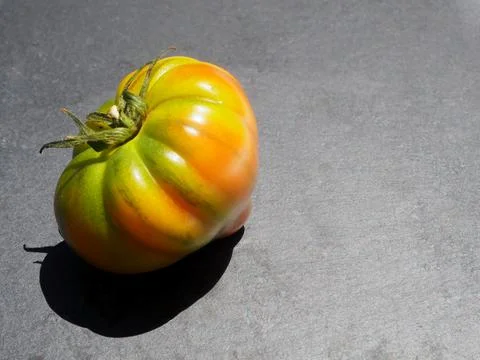 Brown fruit of a tomato, close-up Stock-Fotos