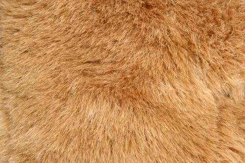 Brown fur background texture Foto stock