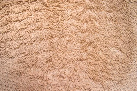 Brown fur in the form of a background Stock Photos