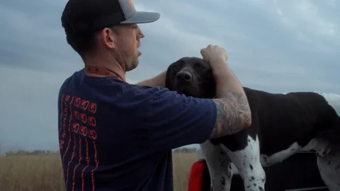 A brown German Shorthaired Pointer pants as his owner takes off his Stock Footage 107879745