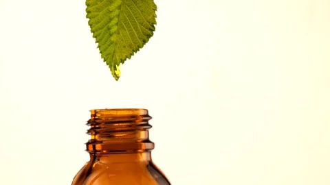 Brown glass bottles with drops Essential liquid drop on green leaf Stock Footage 127368447
