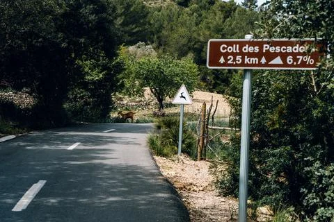 Brown goat in the middle of the road, an animal crossing sign and Coll des pasco Stock Photos