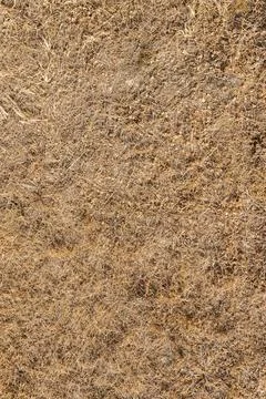 Brown grass Stock Photos