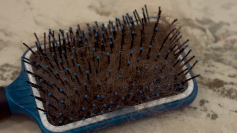 Brown Hair in Brush Video stock 128993653