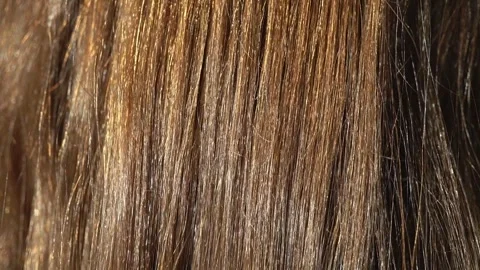 Brown hair close-up Stock Footage 258423055