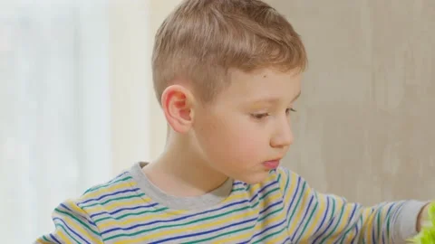 A brown-haired boy eats natural salad leaves with pleasure Stock-Footage 235731961