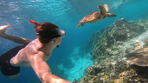 A brown-haired man in a red snorkel mask swims underwater next to a sea turtle Stock Footage 231446893