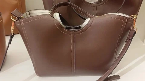 Brown handbag August 31 2026 Viareggio Italy Stock Footage 344164709