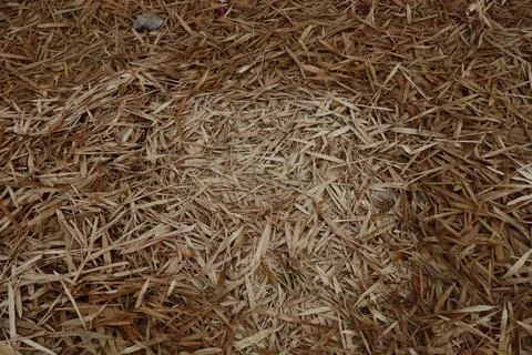 Brown hay pattern hay as background Stock Photos
