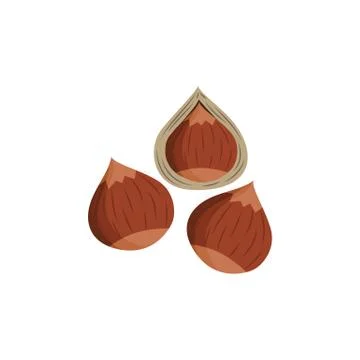 Brown hazel nuts with and without shell - isolated food vector illustration Illustrazione stock