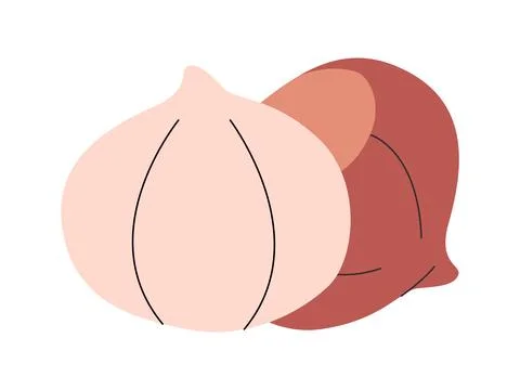 Brown hazelnut with nutshell peeled ingredient natural healthy nutrition vita Stock Illustration