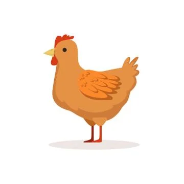 Brown hen, poultry breeding vector Illustration Stock Illustration