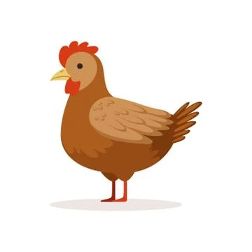 Brown hen, poultry breeding vector Illustration Stock Illustration