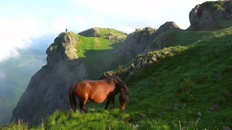 A brown horse on the cloudy summit of Monte Peñas de Aya or Aiako Harria Vídeo Stock 130875038