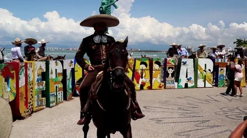 Brown horse dancing in a Parade on the Mexican Independence day Stock Footage 81152073