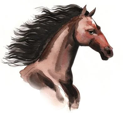 Brown horse head Illustrazione stock