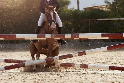 The brown horse is refusing to jump an obstacle Stock Photos