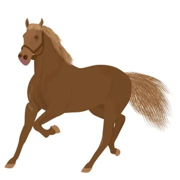 Brown horse on white background vector design Stock Illustration