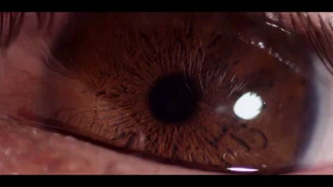 Brown human eye blinking showing detailed iris and eyelashes Stock Footage 329753171