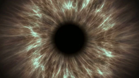 Brown human eye dilating and contracting. Very detailed extreme close-up of iris Stock Footage 98307097